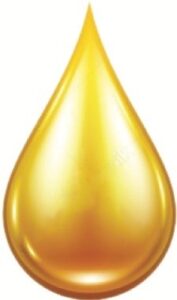 A drop of fuel - Petroleum Services logo