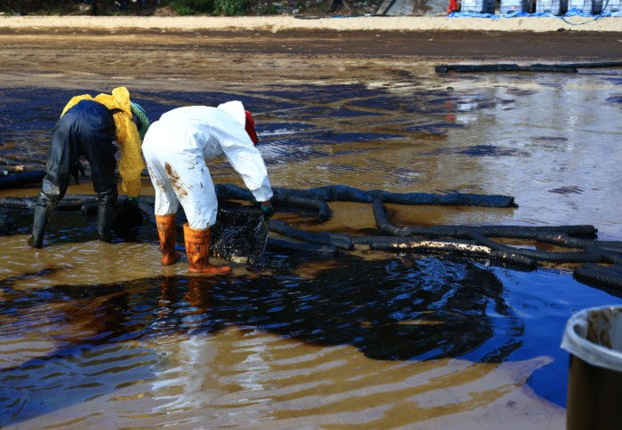 Professional team wearing PPE clean up dirty of oil spill on beach
